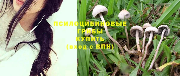 Альфа ПВП Алексеевка