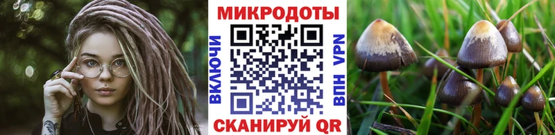 Псилоцибиновые грибы Magic Shrooms  OMG ссылки  Ревда 