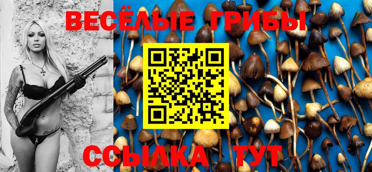МЕФ Ревда